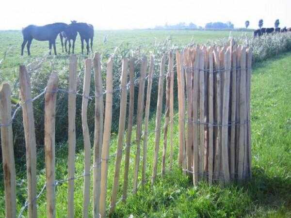 schapen hek, schapenhek, kastanje houten schapenhek, hekwerk