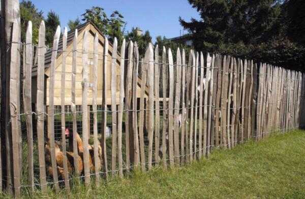 Schapen Hek Schapenhek Kastanje Houten Schapenhek Hekwerk