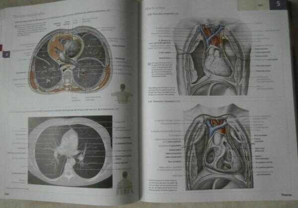 Tillmann Anatomische Atlas Deel 1, 2 En 3 (NL Boek) - Huntingad.com